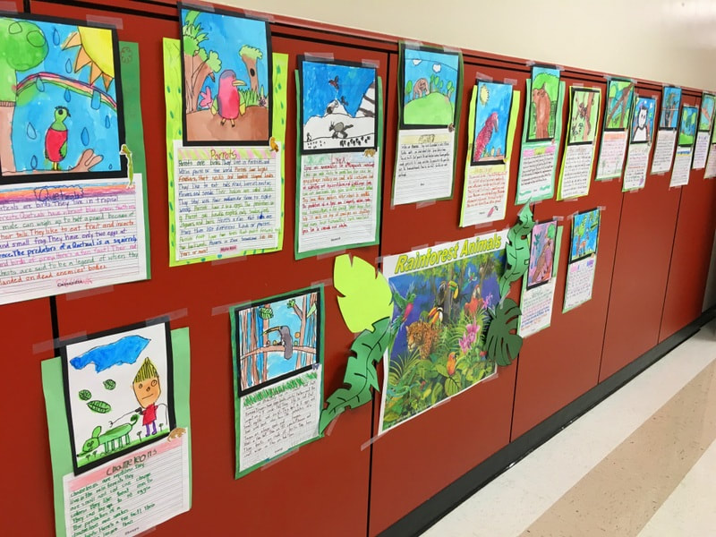 The Rainforest! - Mrs. Koski's First Grade Class Sugar Land, Texas