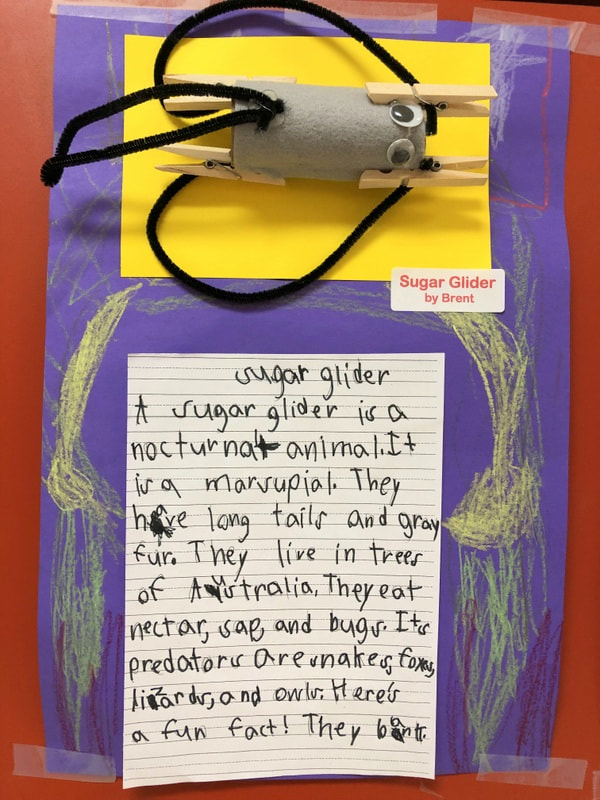 Nocturnal animal reports, Hanukkah, Rocks, and gratitude - Mrs. Koski's  First Grade Class Sugar Land, Texas
